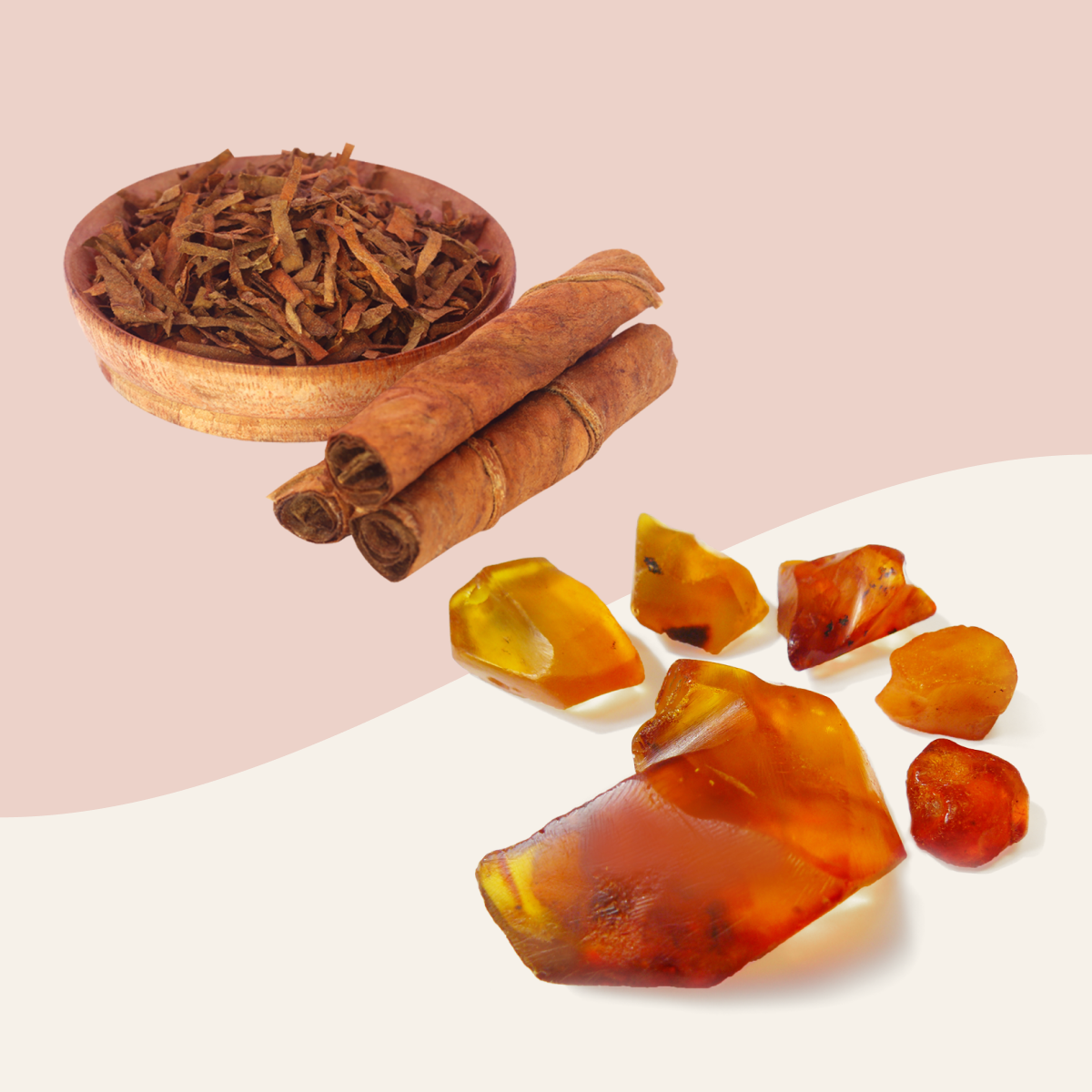 tobacco & amber tobacco + amber – Vim + Vigor Candle Co