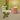 Bamboo + Basil Copper Mug
