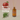 Cider + Cedarwood Reed Diffuser